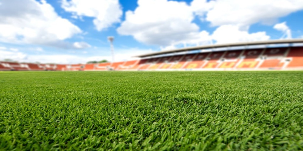 Football Grasses Make For A Beautiful Playing Surface